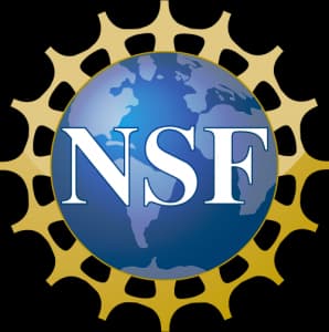 NSF REU